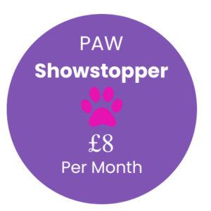 PAW Showstopper Image